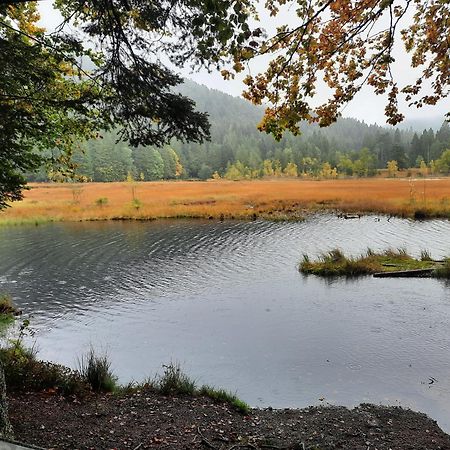Au Coeur Des Lacs - Chambres D'Hotes Gérardmer Dış mekan fotoğraf